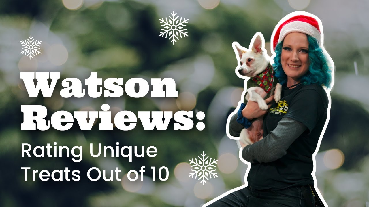 Watson Reviews: Rating Unique Treats Out of 10 | Pisces Pets