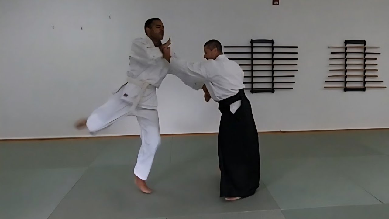 Katatetori work 3 片手取り練習3
