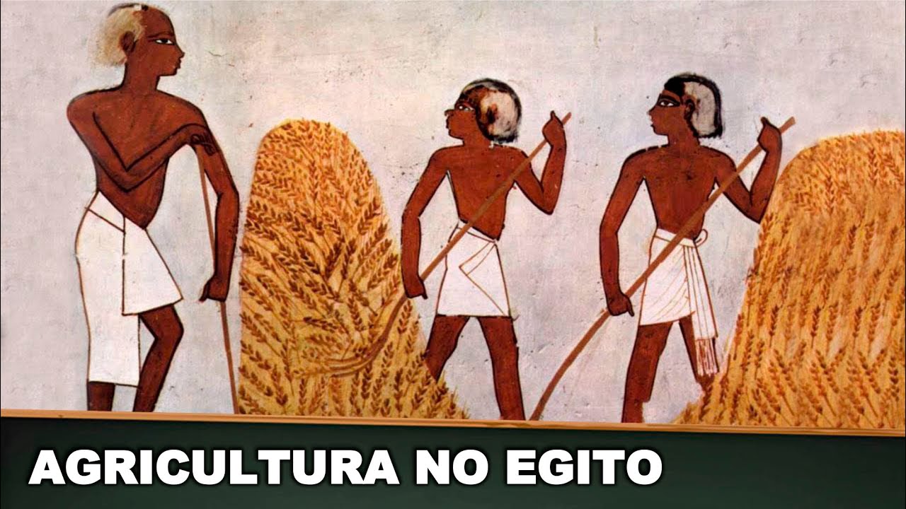 AGRICULTURA NO EGITO ANTIGO