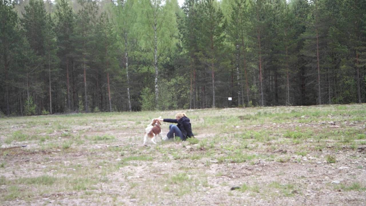 MH-luonnekuvaus 10. ampuminen leikin aikana (Sami)