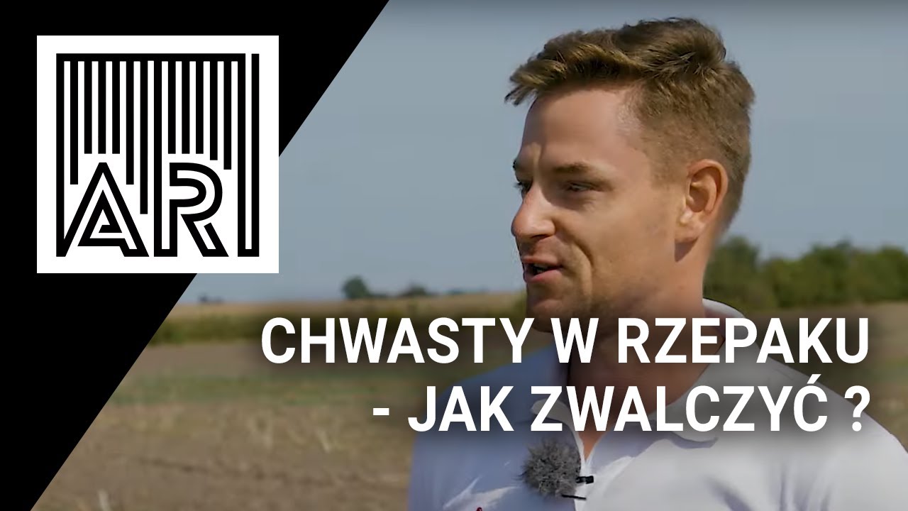 Chwasty w rzepaku - Jak zwalczyć ? || #219