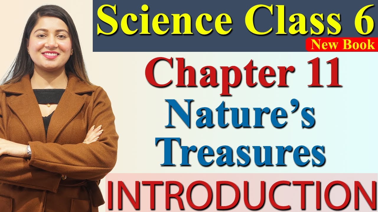 Introduction, Chapter 11 Nature&rsquo;s Treasures Science Curiosity Class 6