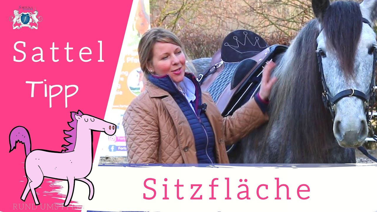 Sattel Tipp ⭐️- So kannst Du prüfen ob Dein Sattel im Schwerpunkt liegt.⭐️