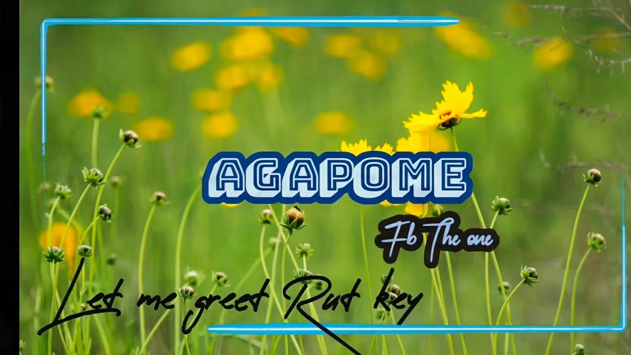 AGAPOME _-_ FB THE ONE (Official Lyrics)