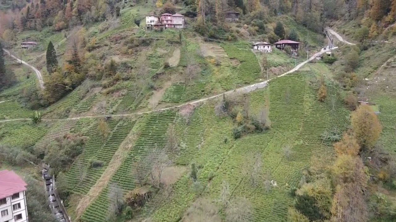 Senoz (Misohor) Kaptanpaşa