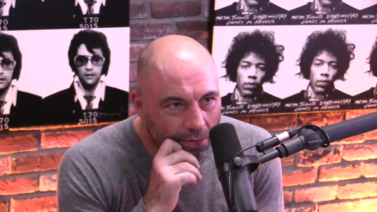 Joe Rogan 