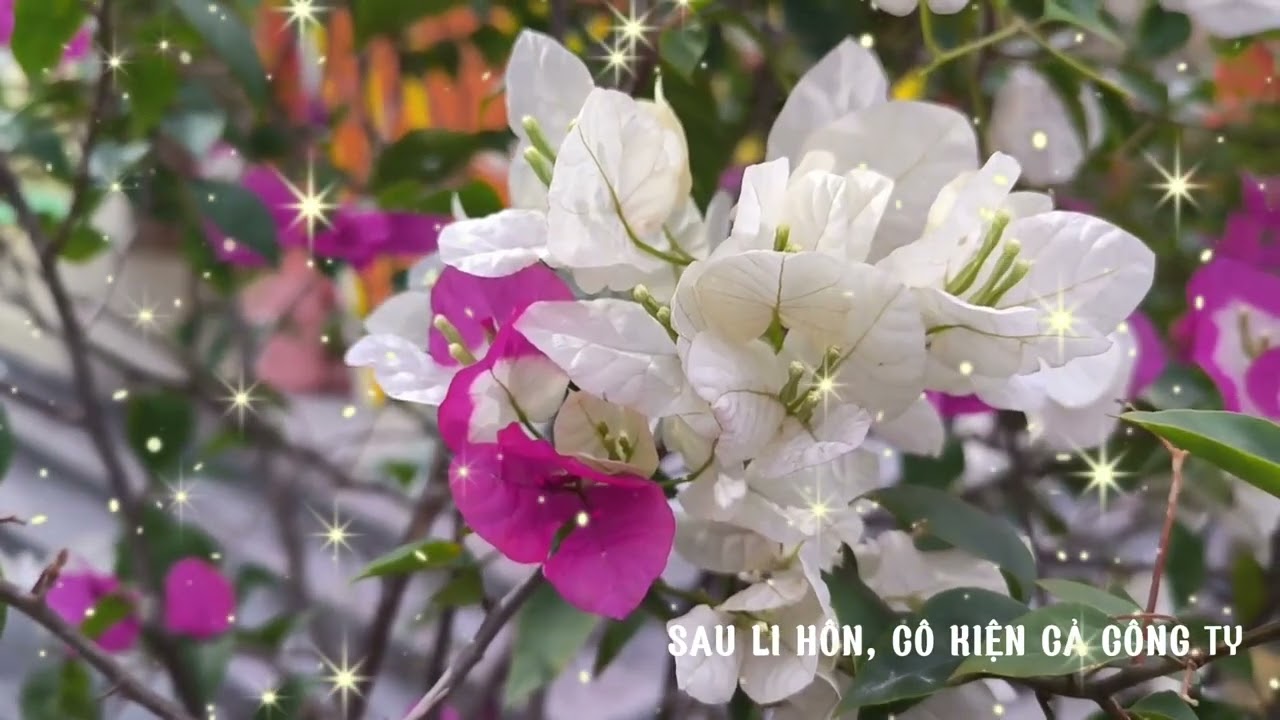 [Truyện Audio] SAU LI HÔN, CÔ KIỆN CẢ CÔNG TY/ Bản tình ca dang dở