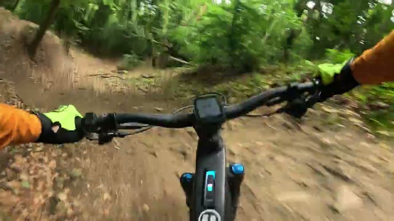 Koblenz Stadtwald ⚡️Layer Trail + Mai2025 #Raw Wolfskopf Trail am Ende =( Powerwolf )#canyonstriveon