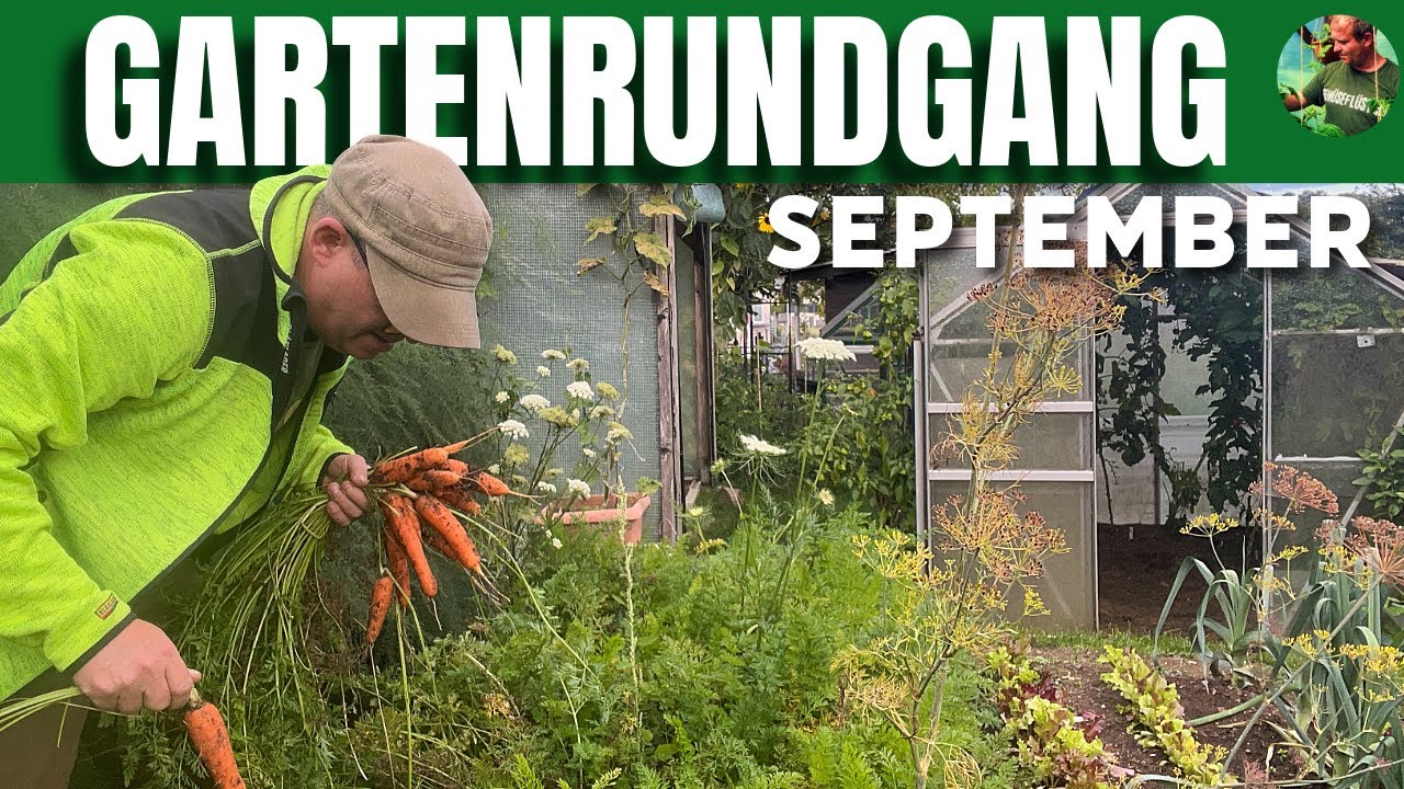Was wächst JETZT noch? | Gartenrundgang im September 