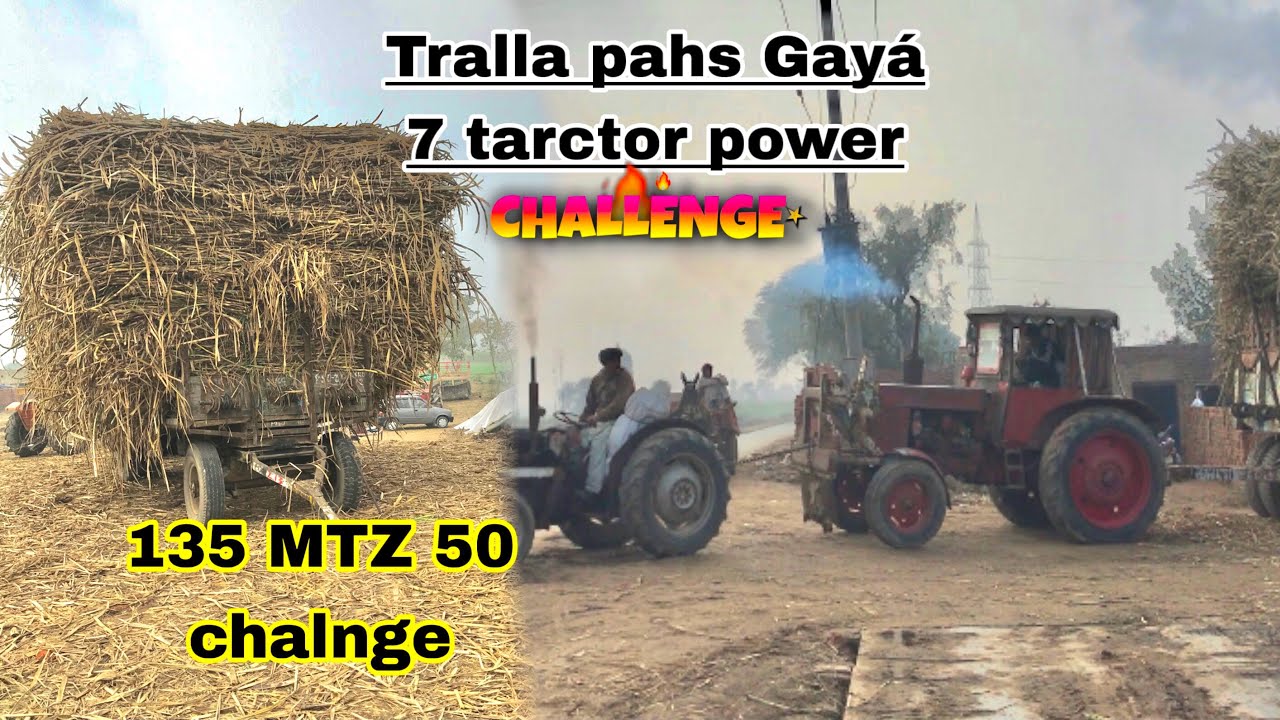 135 tarctor MTZ 59 Belares tarctor challenge 