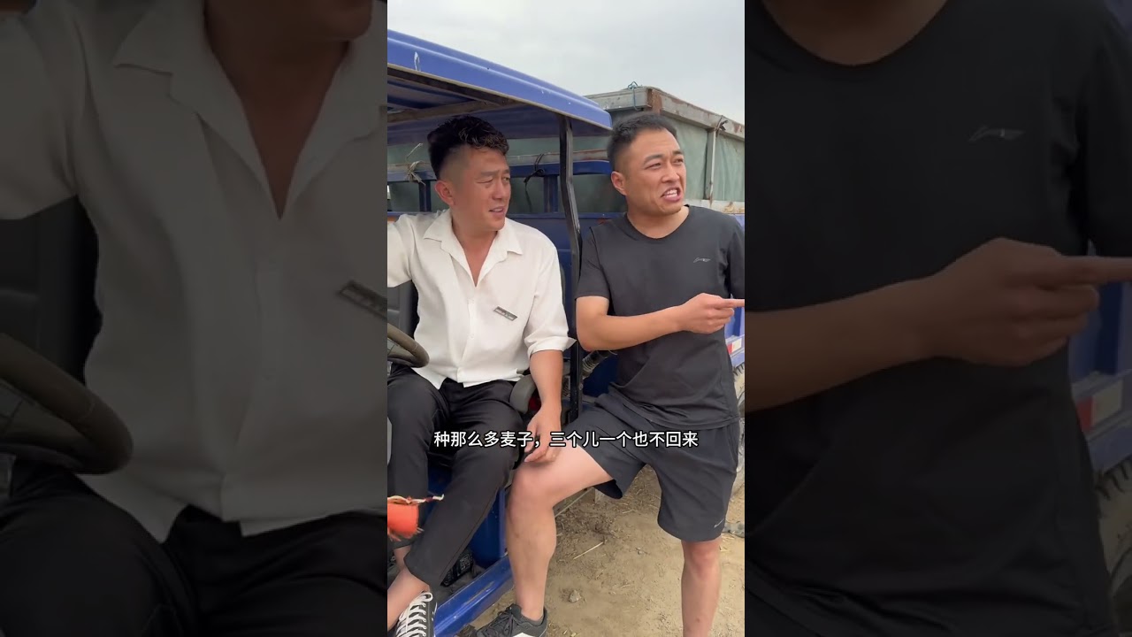 小的时候是父母收麦，长大后还是父母在收麦#农村生活 #我的乡村生活 #村里那些事 @刘老二生活 #村里人
