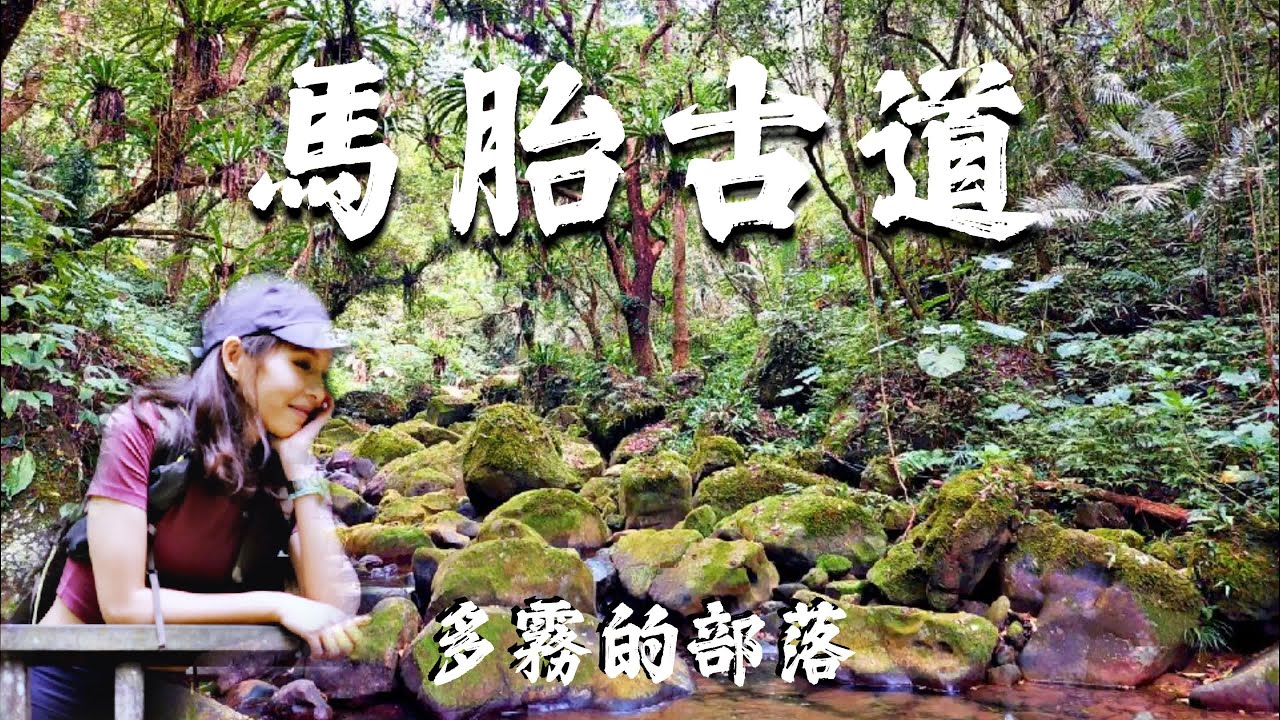 馬胎古道🐎｜吊橋溪水｜又一條連著老街的路線｜👧五歲小孩也可以完成｜南坪古道｜內灣老街