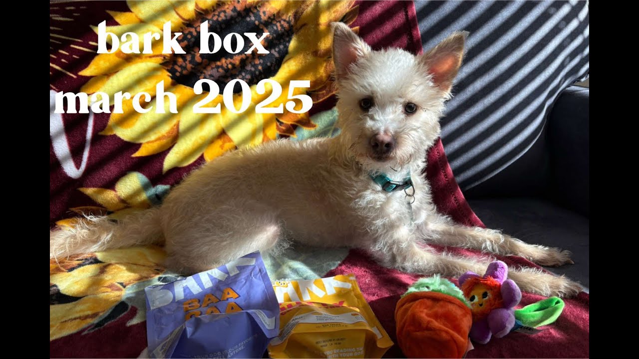 Bark Box | March 2025 | Unboxing With Val