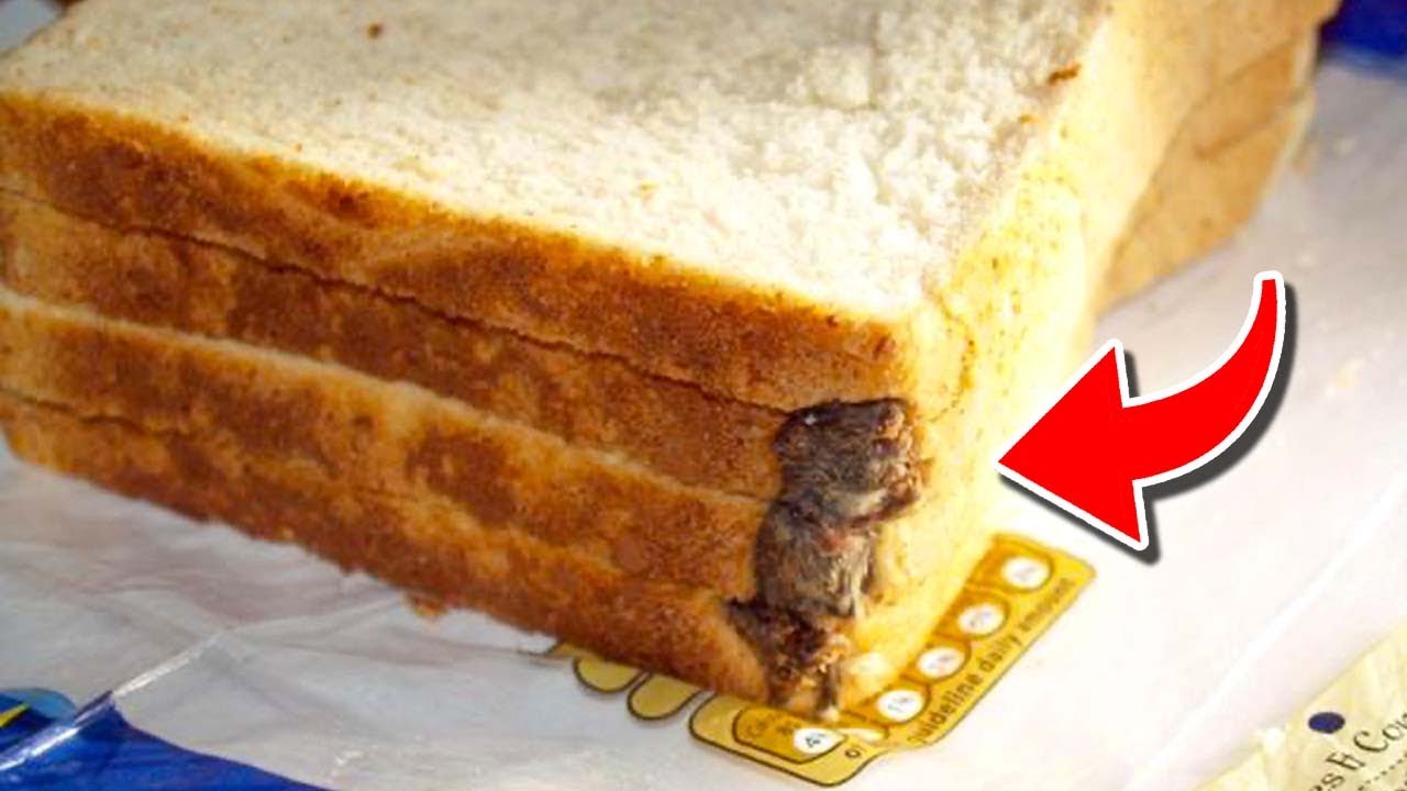 Top 10 Most Disgusting Things Found In Food (FAILS!)