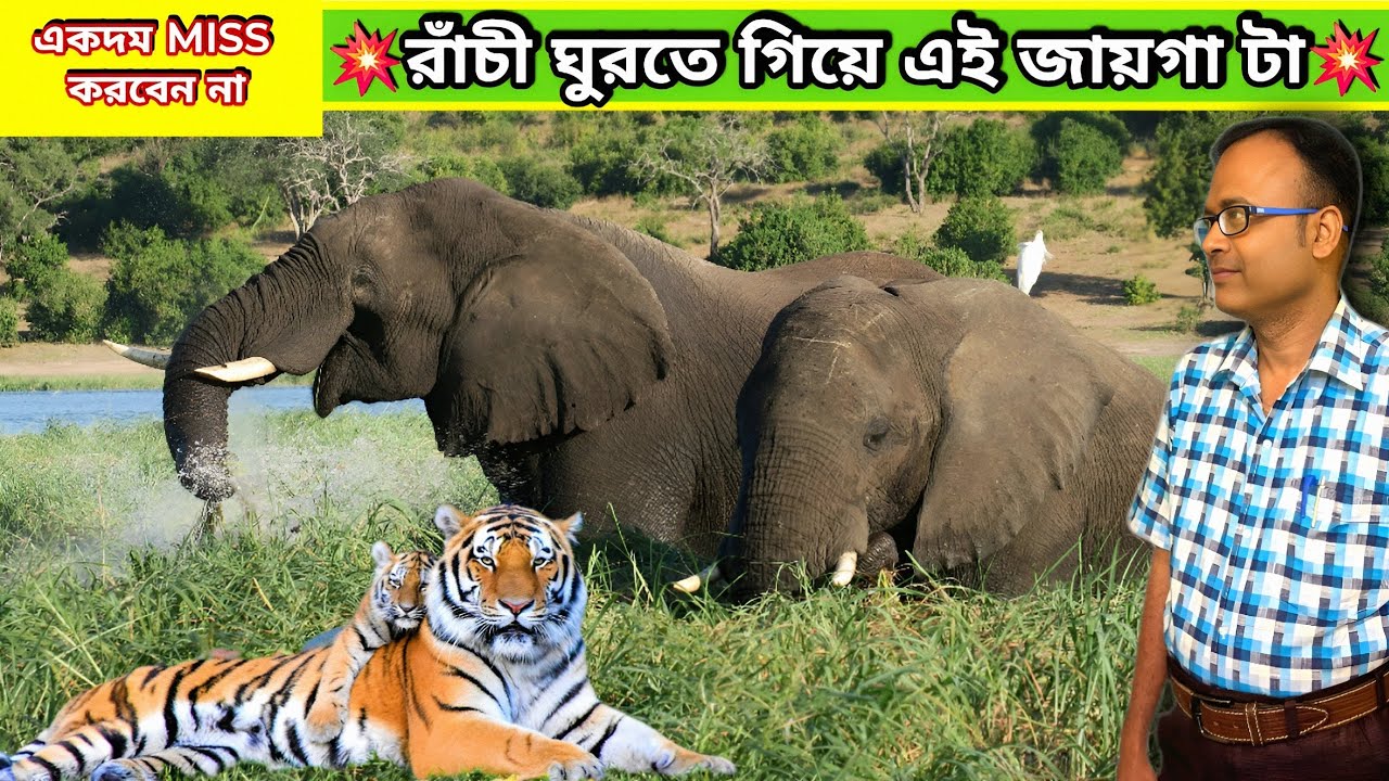 💥রাঁচী থেকে মাত্র 15K.M দূরে এই জায়গাটি ছোটদের ভ্রমণের স্বর্গরাজ্য । Birsa Munda Zoo । Ranchi Tour