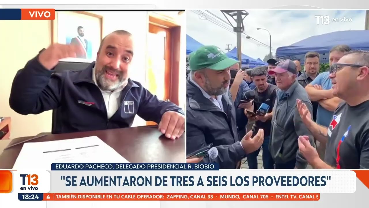 Delegado del Biobío: 
