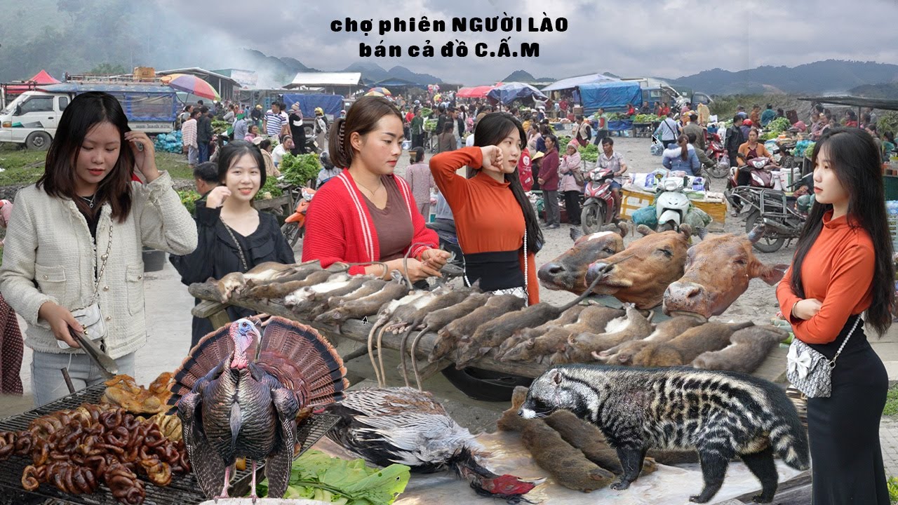 Độc Đáo Chợ Phiên Nậm Cắn Bên Nước Lào Bán Toàn Đ.ộng V.ật Hoang Dã | Tôi Người Vùng Cao