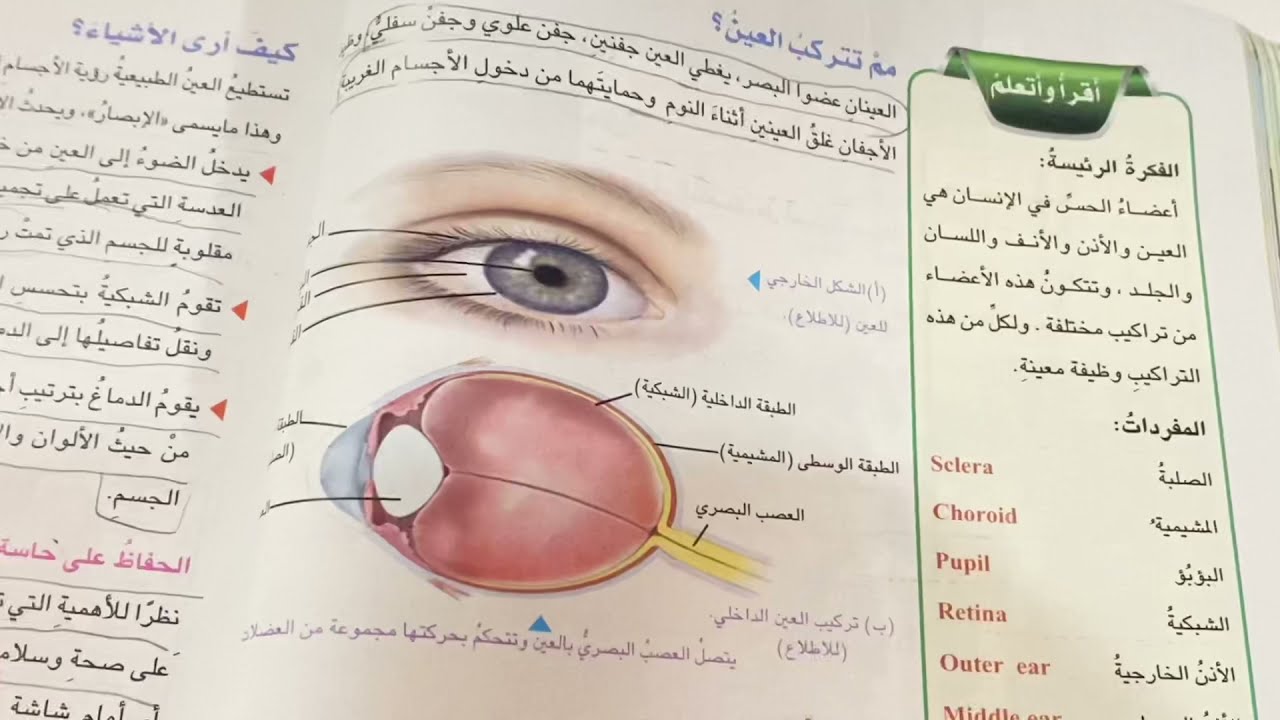 اعضاء الحس (العين) علوم الصف السادس الابتدائي ص ٧٨ شرح مع ملخص .ست مريم
