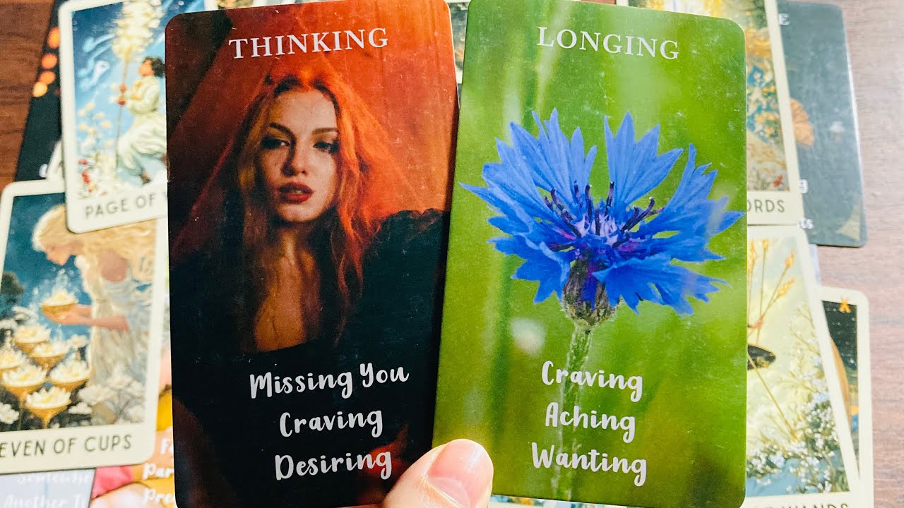 Their Feelings & Thoughts 💙💙 Timeless Tarot ❤️❤️ Hindi-Urdu 💙💙
