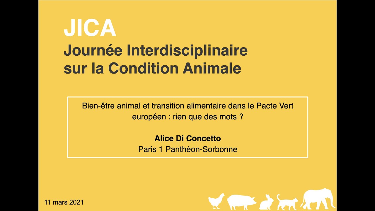 JICA 3 - Alice Di Concetto (2021)