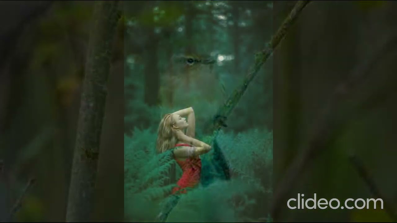 ECHOES OF THE ANCIENT FOREST PART 1