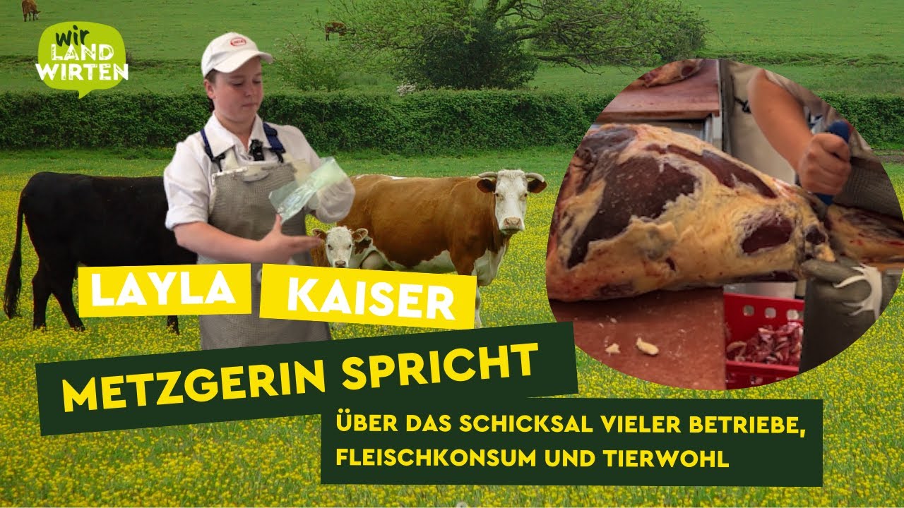 Über die Ausbildung, Tierwohl und Fleischkonsum