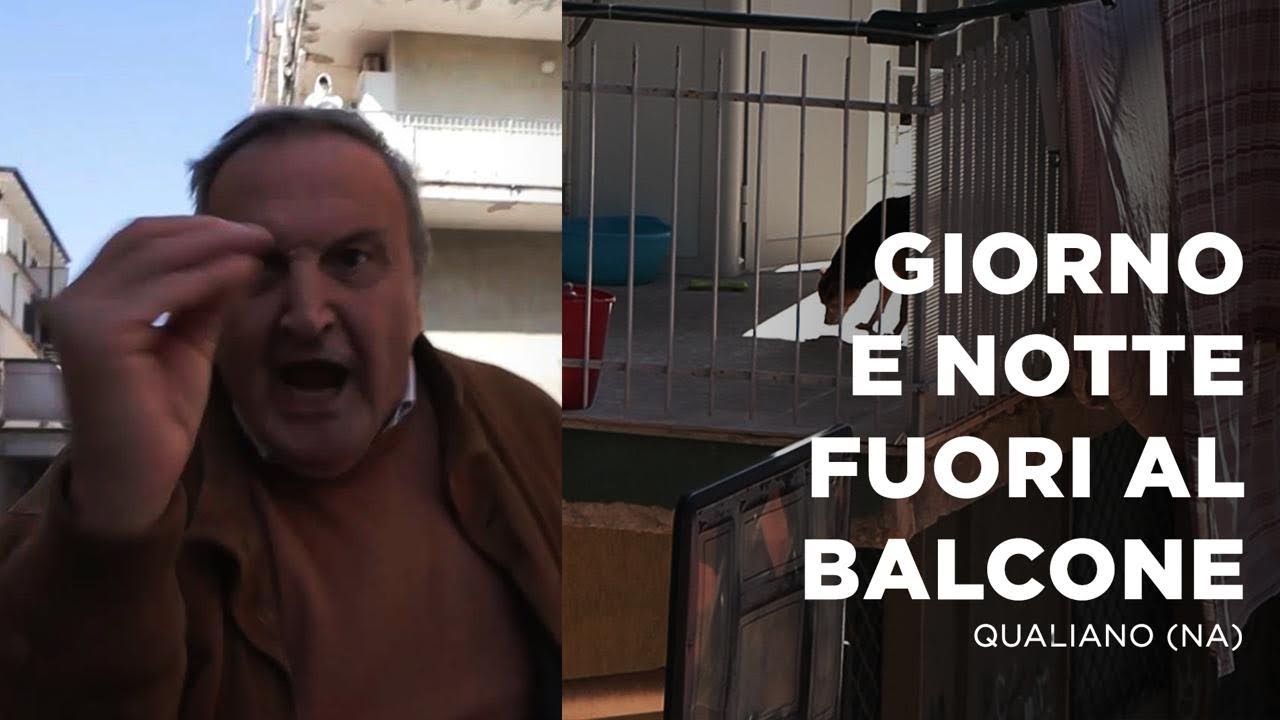 CANE VIVE IN BALCONE: SCOPPIA IL CAOS CON IL FINTO AVVOCATO DI FAMIGLIA