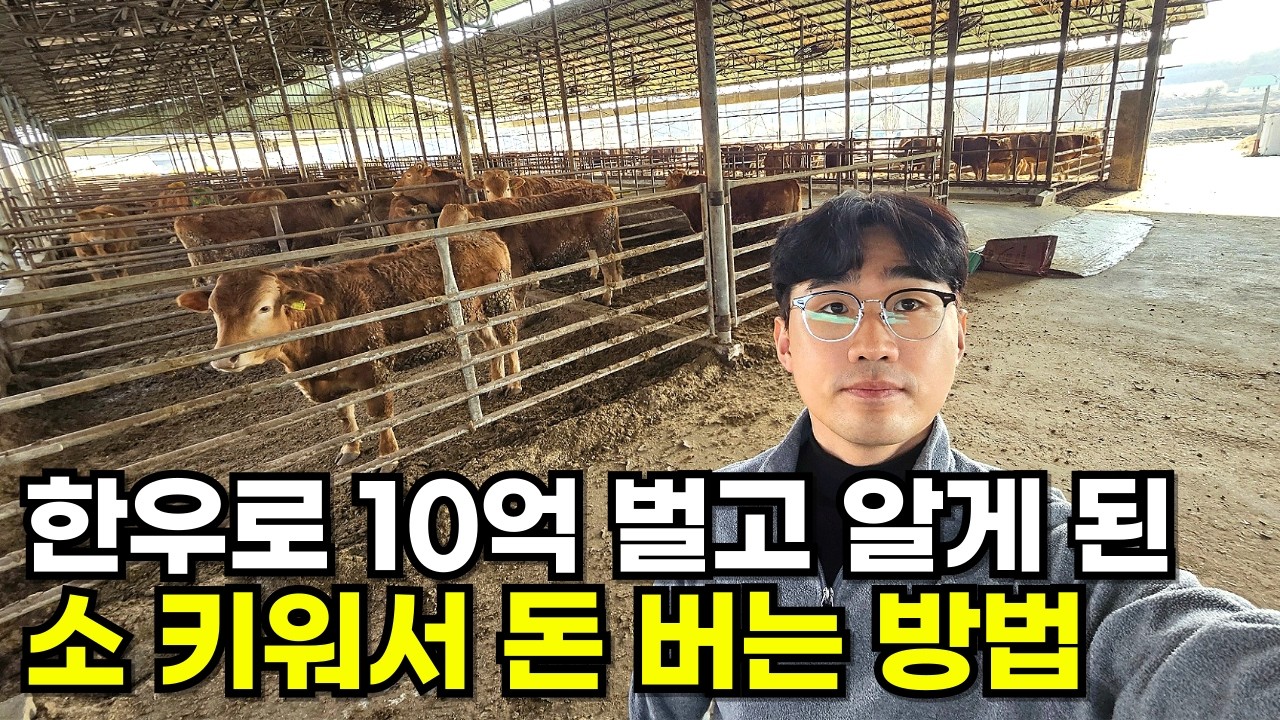 처음 소 키우던 때부터 전국 1등 한우를 만들기까지 (경기TMR 사료)