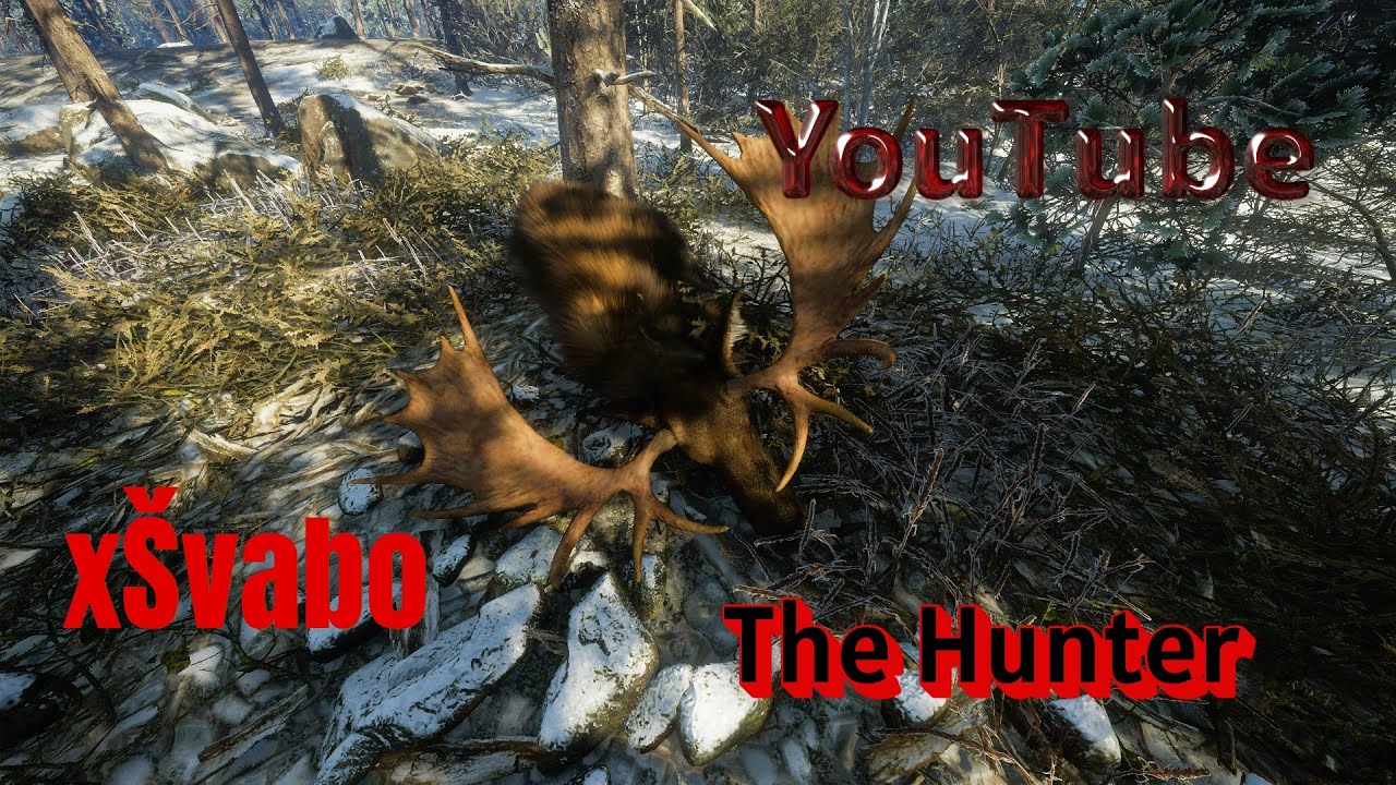 COTW:Medved Taiga