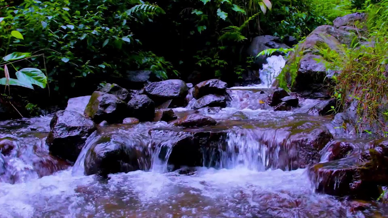 Mountain River Peaceful Waters | Gentle Flowing Sounds for Calm Mind and Sleep