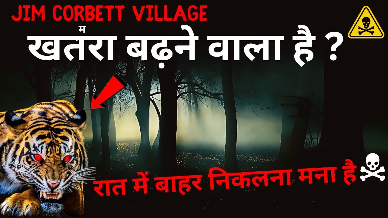 Dhikuli Village में बाघ की दस्तक शुरू | Tiger Territory | Jim Corbett