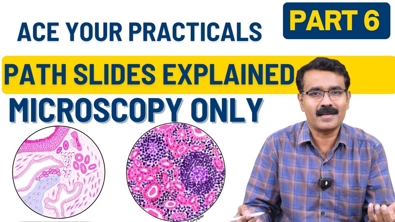 Microscopy Made Easy – Part6: Quick Revision of Common Pathology Slides | Dr. Vijay Shankar