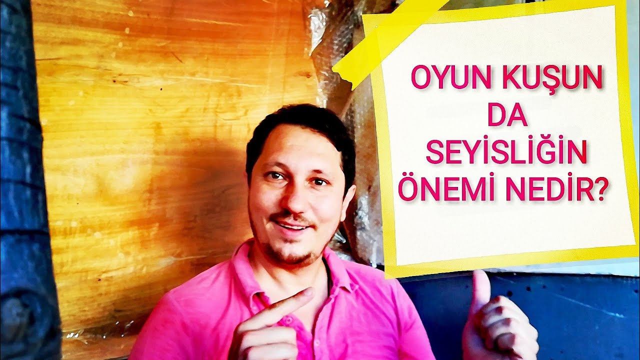 OYUN KUŞUN DA SEYİSLİĞİN ÖNEMİ NEDİR? |OYUN KUŞU SEYİSLİĞİ |