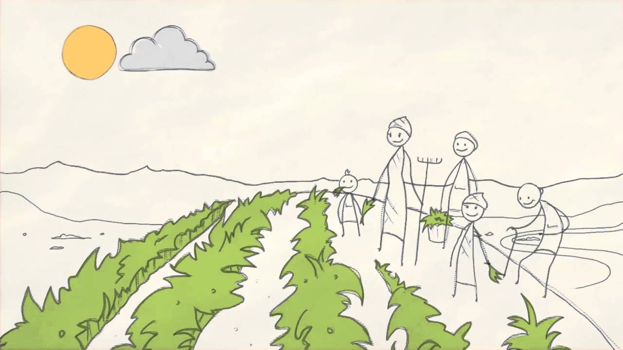 L'histoire de L'agriculture et de L'économie Verte