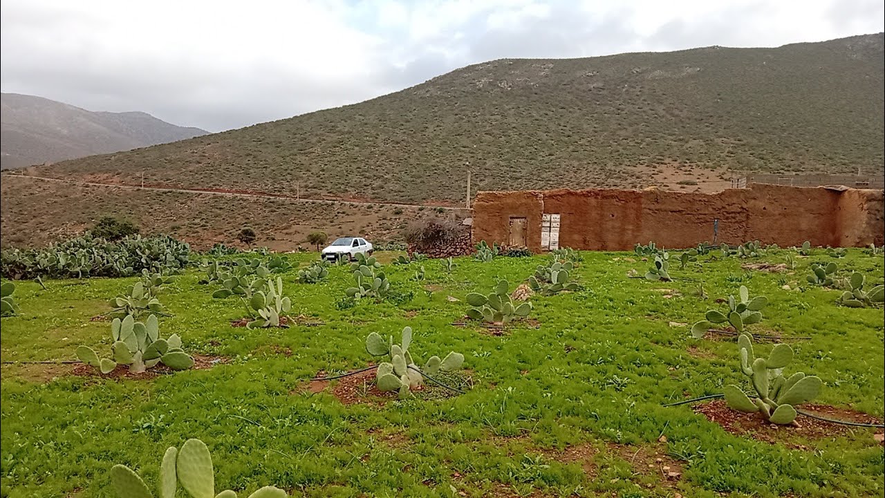 شوف الجو في البادية مع المطار الخير علي يقاعة عواد ايت بعمران #maroc #الجزائر #امطار #ايت_بعمران 