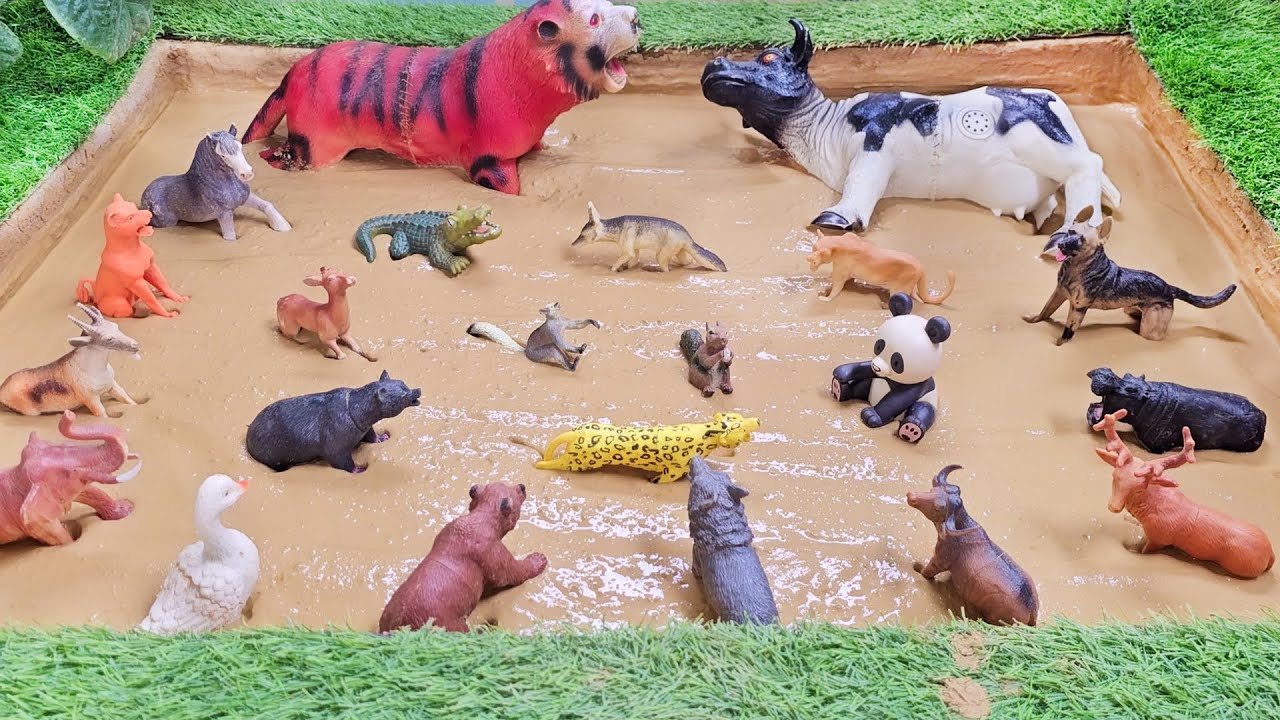 Carnivorous Animals Defeat Big Cow and Domestic Farm Animals Stuck in Mud!