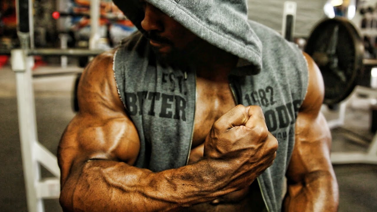 Bodybuilding Motivation 2016 - Size and Aesthetics