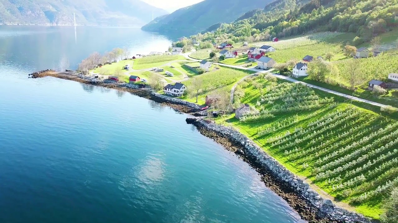 Ringøy i Hardanger