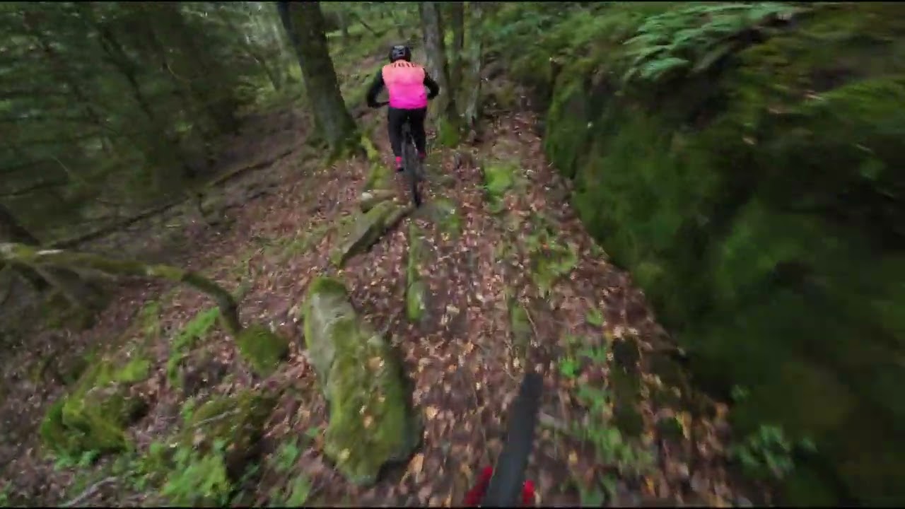 Orbea Occam - King of Bongo - MTB Sweden