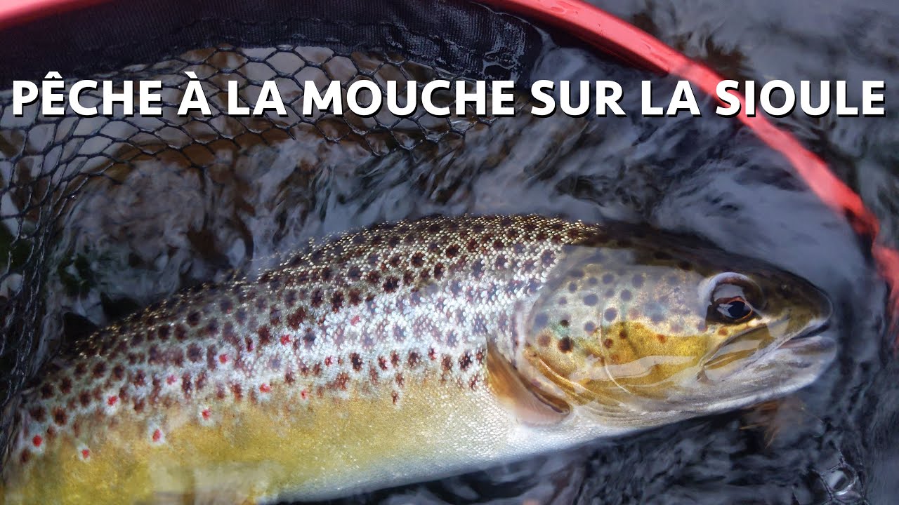 La Sioule : Rivière mythique de pêche à la mouche