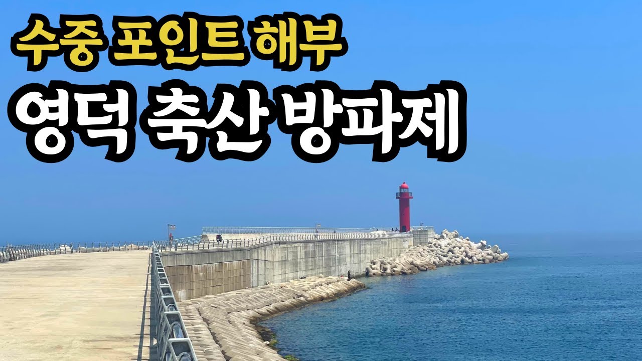 낚시가 안될때..고기가 물속에 없는걸까?