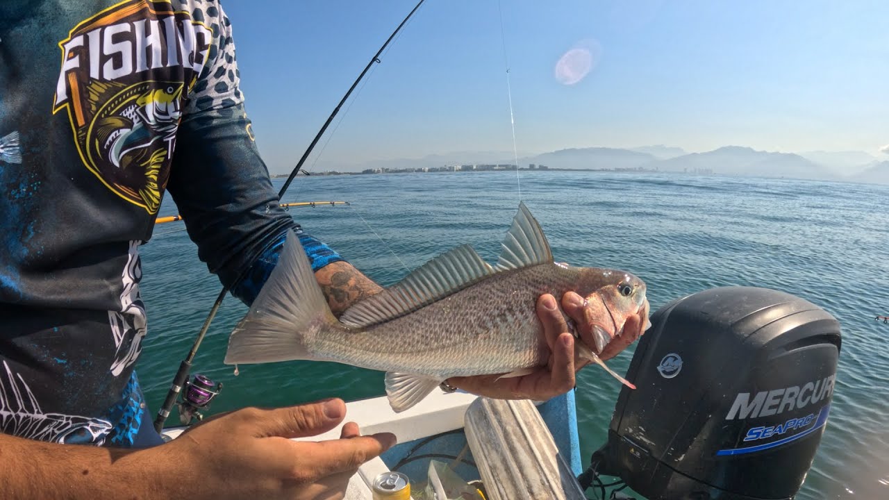 Pescando con Calamar al Fondo - CURVINAS GRANDES!