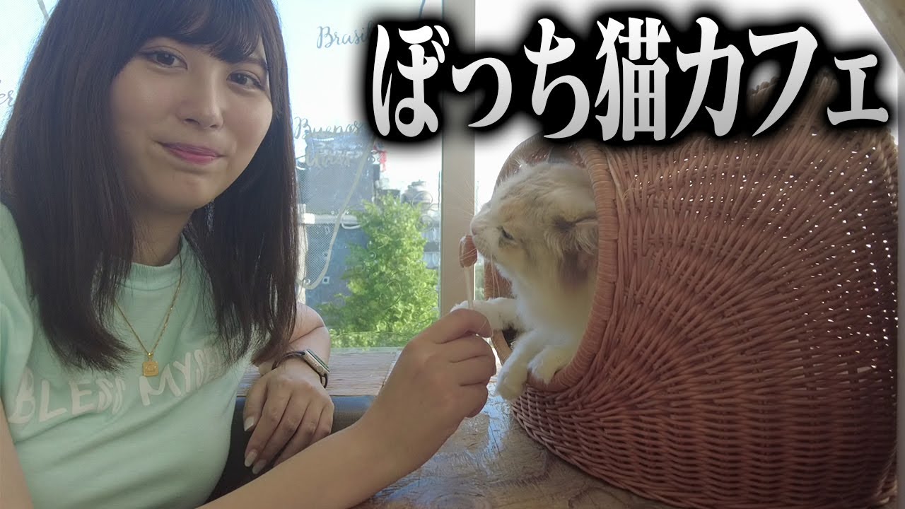 【女ひとり】初めての猫カフェで癒されてきた