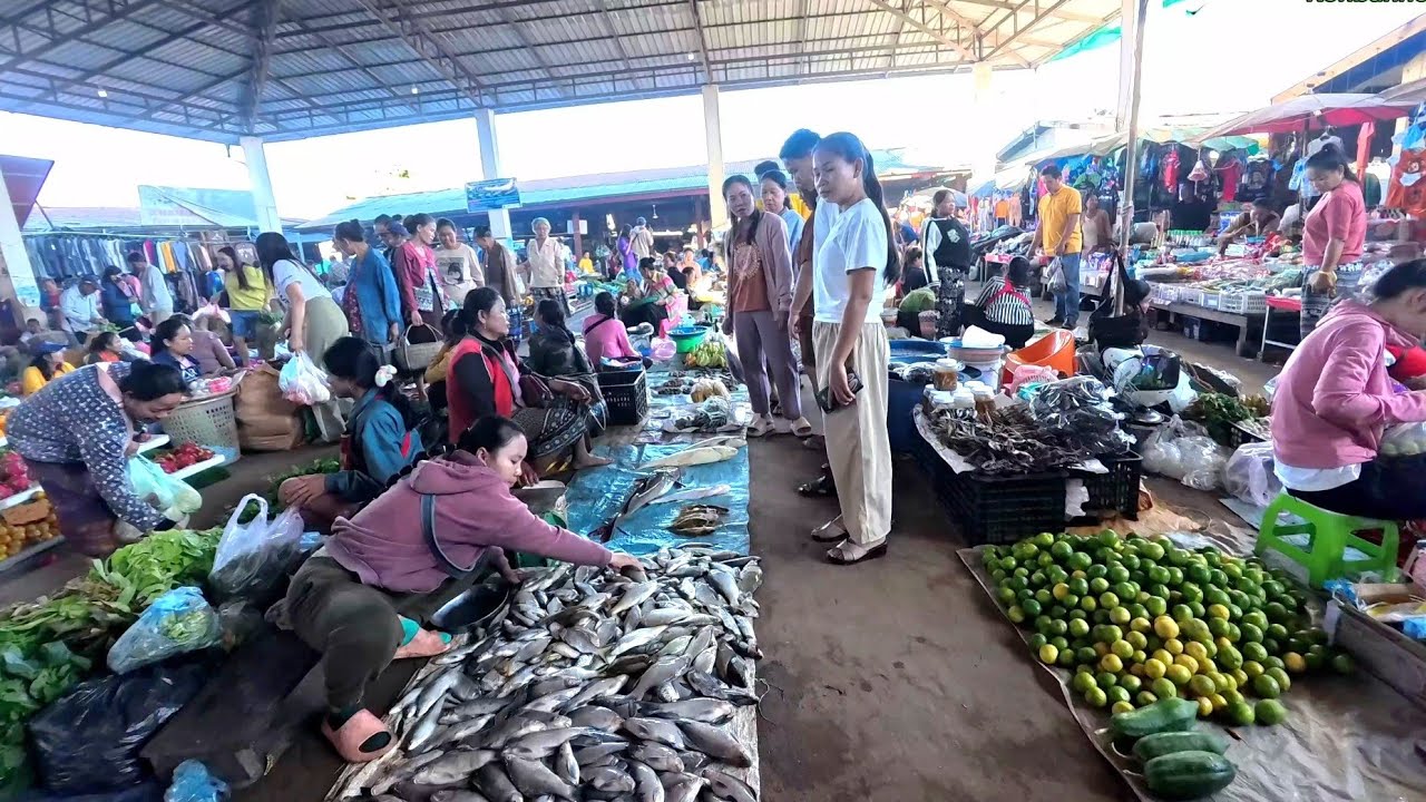 Buying fish from local market, taking the bus to Vientiane / Laos