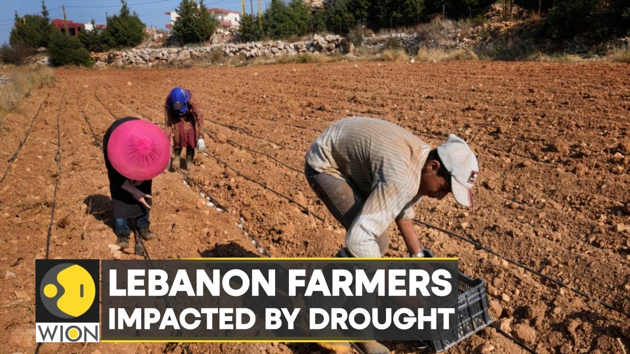 WION Climate Change | Lebanon: Farming communities struggle to keep their soil from dying