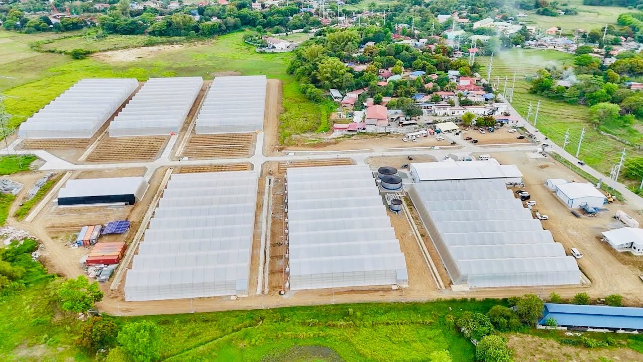 MVP Metro Pacific Fresh Farm: FINALLY! The Biggest, Most Hi-Tech Greenhouse Facility in the Phil.