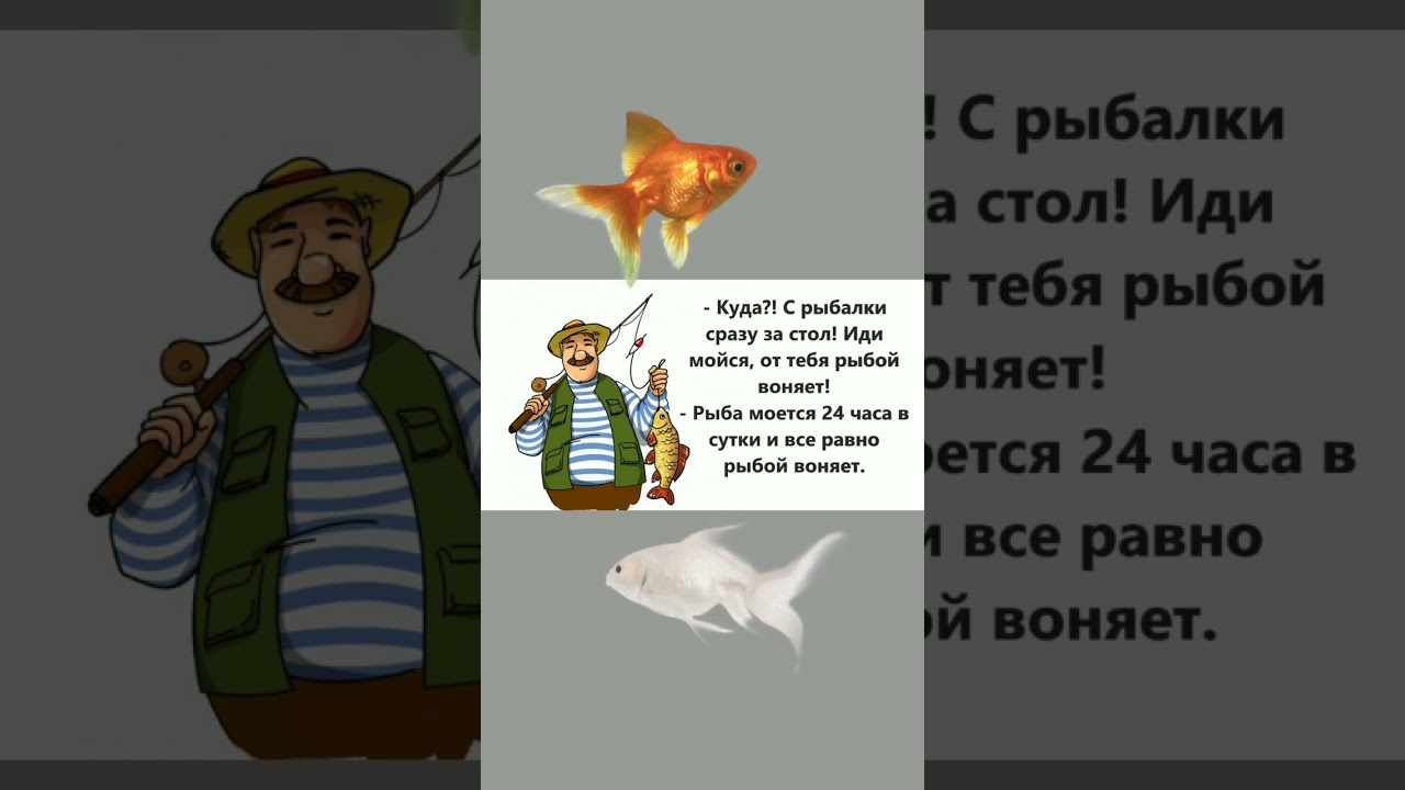 Жена Мужу от тебя рыбой воняет...#shorts #shortsvideo #anegdot