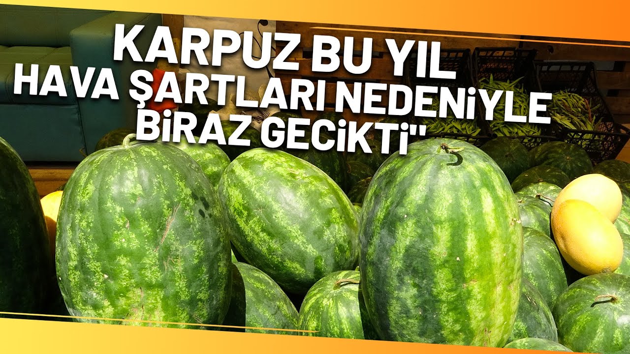 Yalıncak Karpuzunda Hasat Rötarlı Başladı