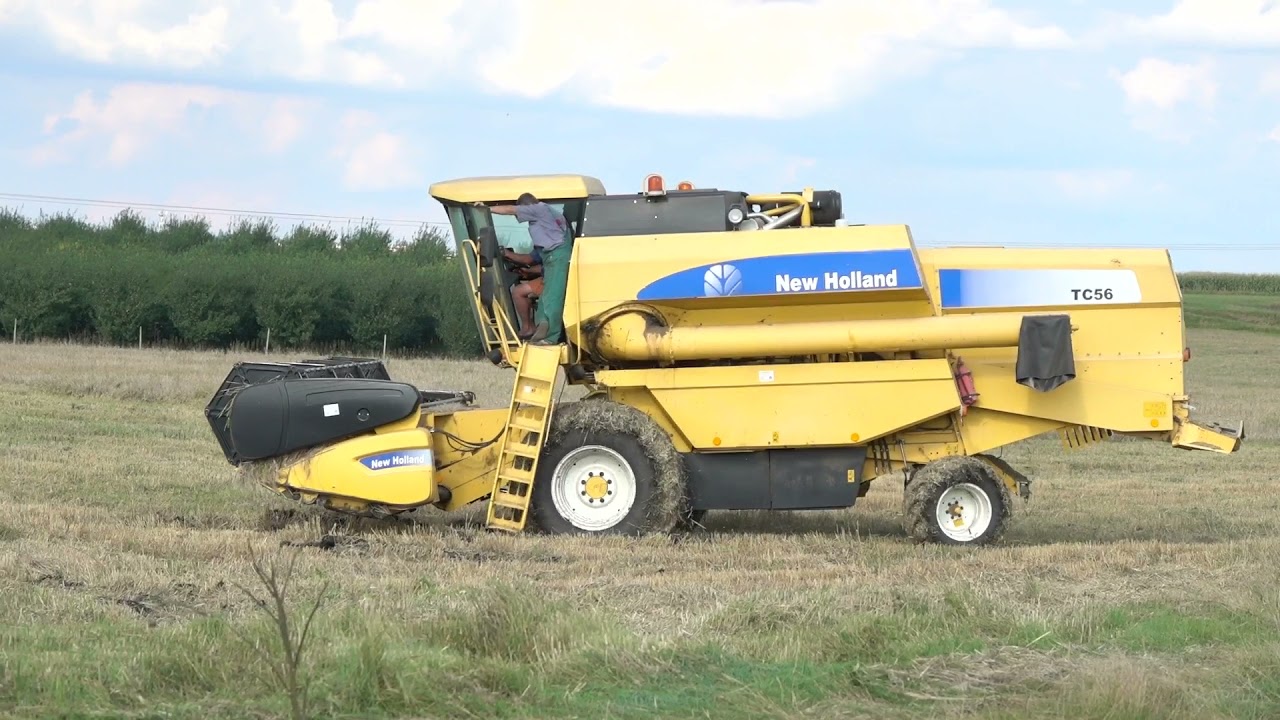 Mokre Żniwa 2021 || Bizon Super Z056x2 & New Holland TC56 ||