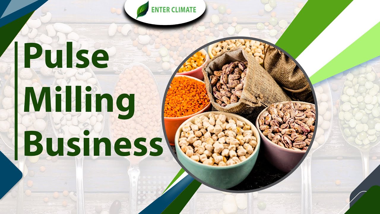Setup Pulse Milling Industry | Start Dal Mill Processing Business | Enterclimate
